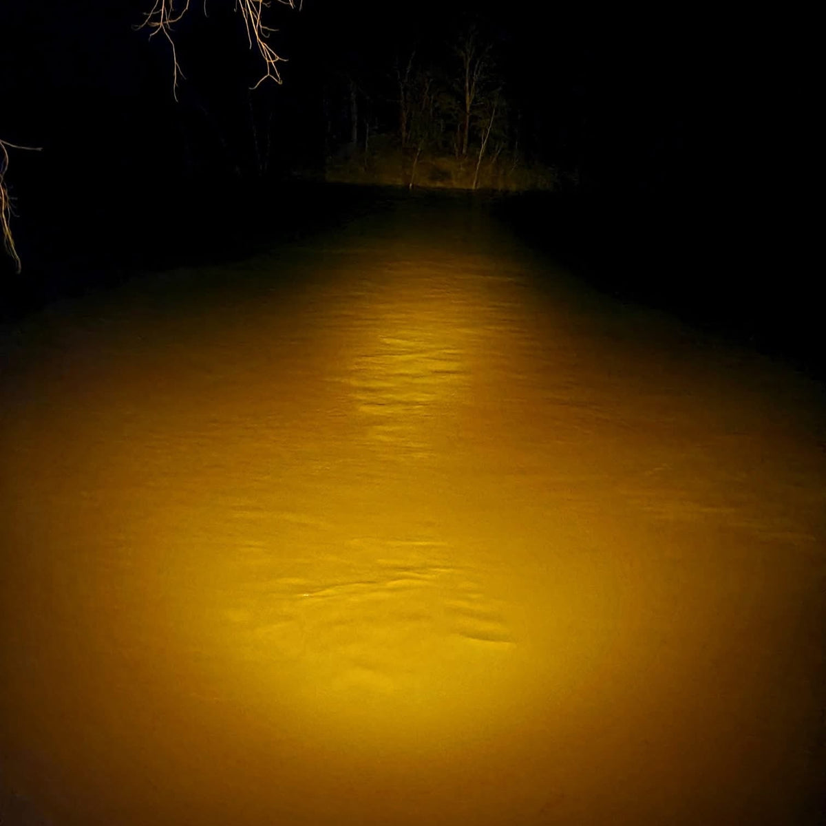 Bowfishing Flashlight