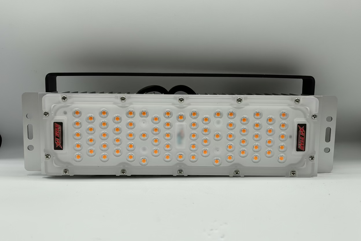 S50
