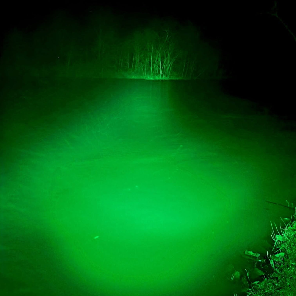 Bowfishing Flashlight