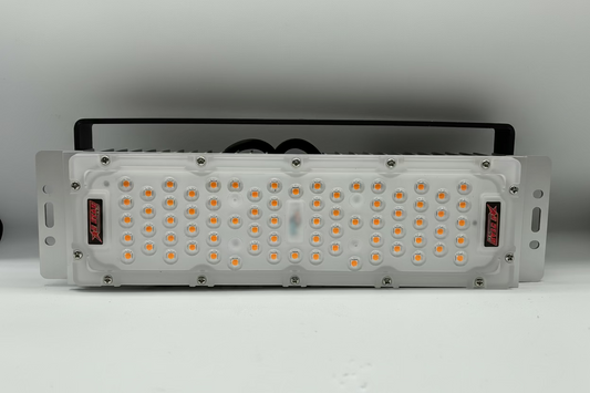 S50