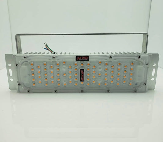 S50
